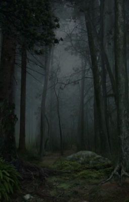 Лесное царство 