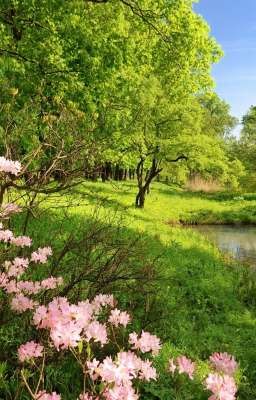 летний лагерь 