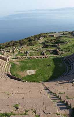 Оливковая роща у города Ассос.