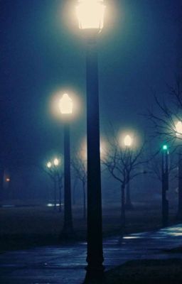 Ночная городская жизнь во всех ее проявлениях 