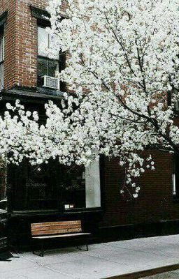 Цена счастья - расставание... 🍃