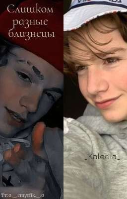 Слишком разные близнецы