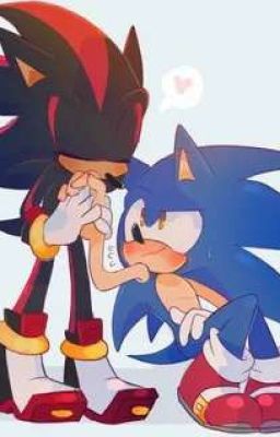 ~Соник и Шедоу💙 🖤~