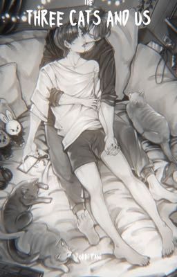 Три кошки и мы