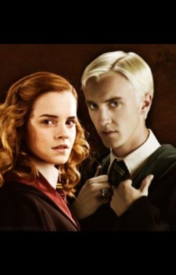 Встреча старых знакомых