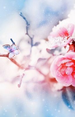 Больше, чем просто друг.