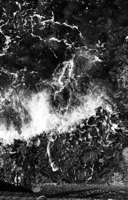 Начало пути