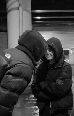 Тень в ночи