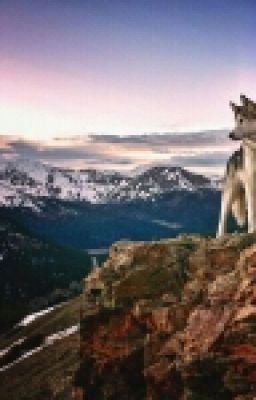 По Миру Фантазий