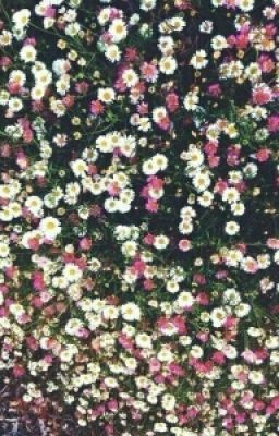 Дружба на всю  жизнь