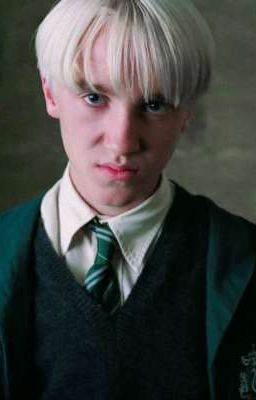 Драко и Гарри в 22 веке