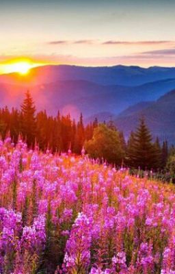 Наши приключения.(или о том как мы в крипипасту попали)