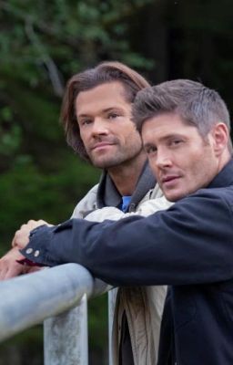 Новая жизнь