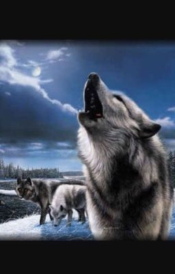 Любовь Альфы