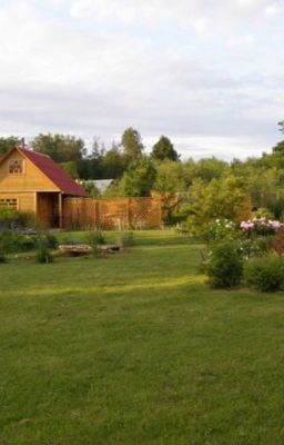 Лето с друзьями