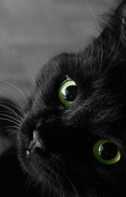 Зеленоглазое чудо