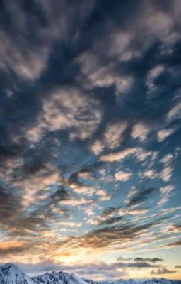 Жизнь и смерть