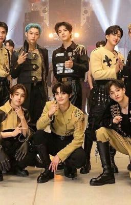 Stray kids fanfick |Повезло с коллегой|