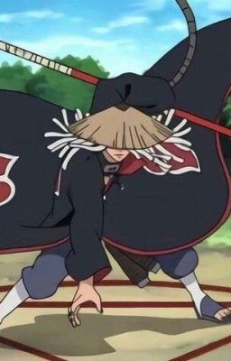 сестра хидана тёмная тень шикадая...