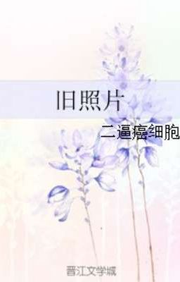 Старая фотография/The Old Photo/旧照片 