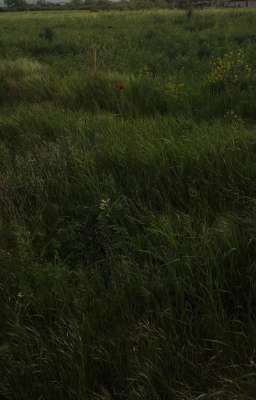 редкое место 