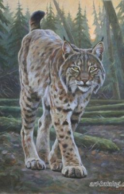 °•ТАЯНА•°