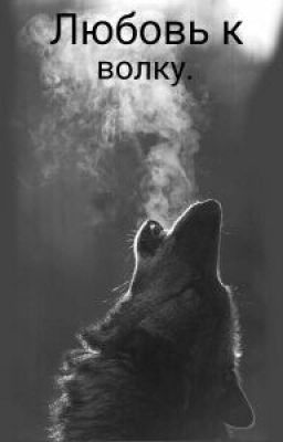 Любовь к Волку.