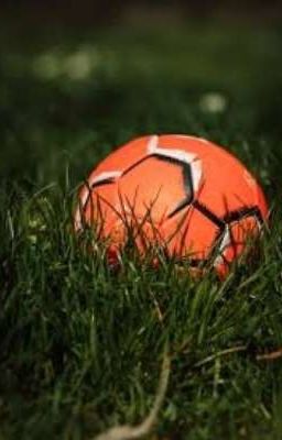 Мяч для бейсбола 