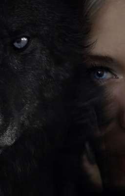 Территория Волков 