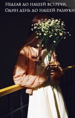 Неделя до нашей встречи. Один день до нашей разлуки.