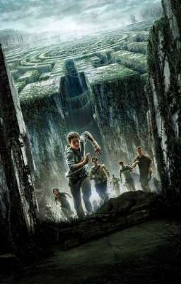 Новенькая в Глэйде