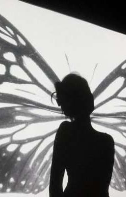 Холодная бабочка 