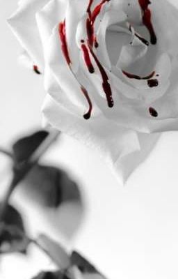 Роза окрашенная кровью 