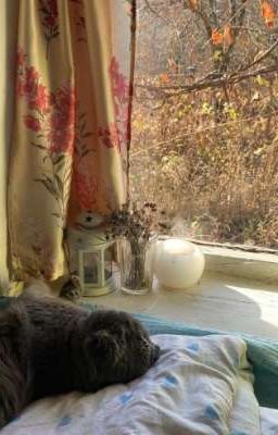 На тысячный вопрос о тебе - сгораю до тла