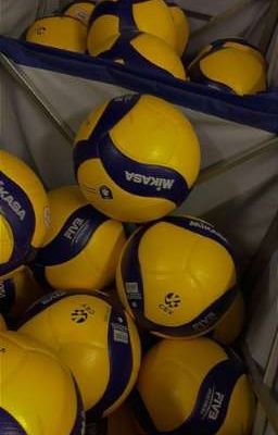 Смысл Жизни-Стенди