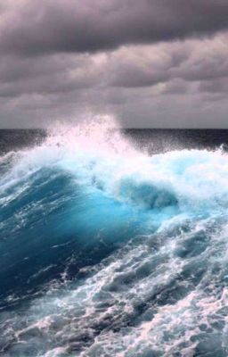 Любимая музыка ❤️