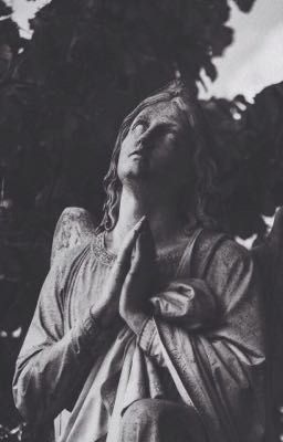 ad astra per aspero . 