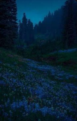 Сумерки История Ти