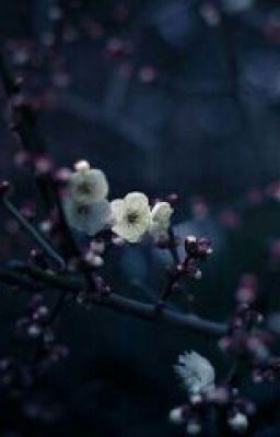 История пропавшей принцессы