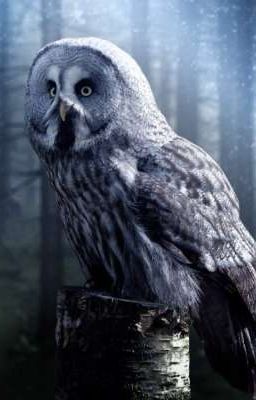 Каннибалка 