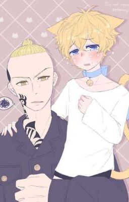 Котёнок Терано Сауса