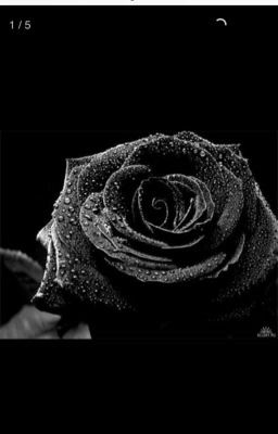 "Цветок, из за которого я чуть не лишился любимого..."