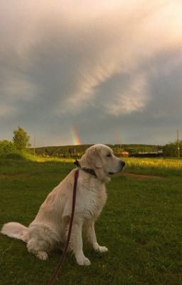 Екатерина Вильмонт «За дверью - тайна...»