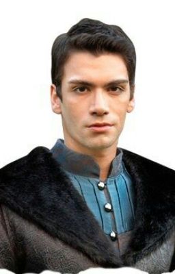 Великолепный век. Правление Султана Мехмета.