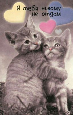 Мы связаны судьбою!