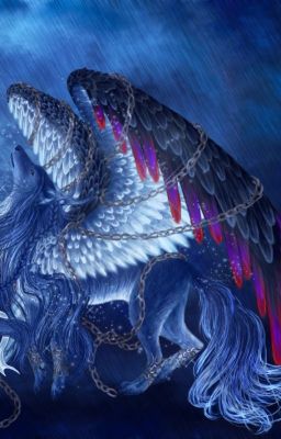 Яркие моменты...