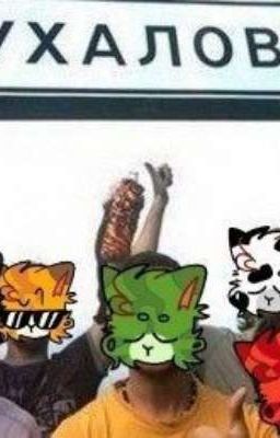 реакция бискаса на т/и :3