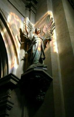 К чему такая ненависть?!