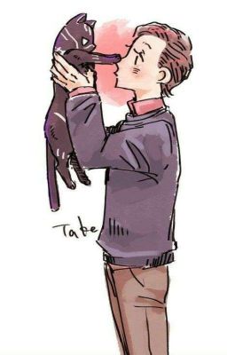 Питер и Т'Чалла