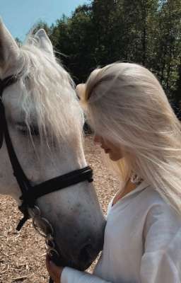 университетская любовь 